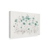 Trademark Fine Art Lisa Audit 'Wildflowers I Turquoise' Canvas Art, 30x47 WAP04176-C3047GG